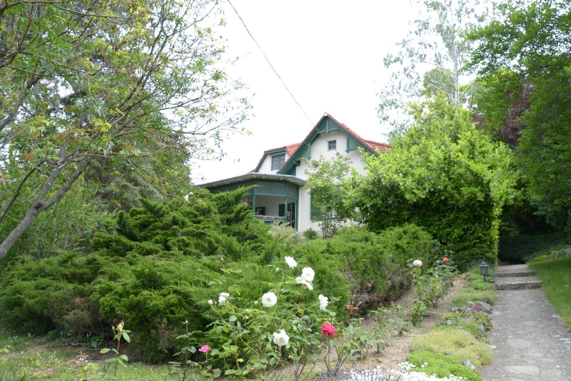 Gyoengy Villa Фоньод Екстер'єр фото